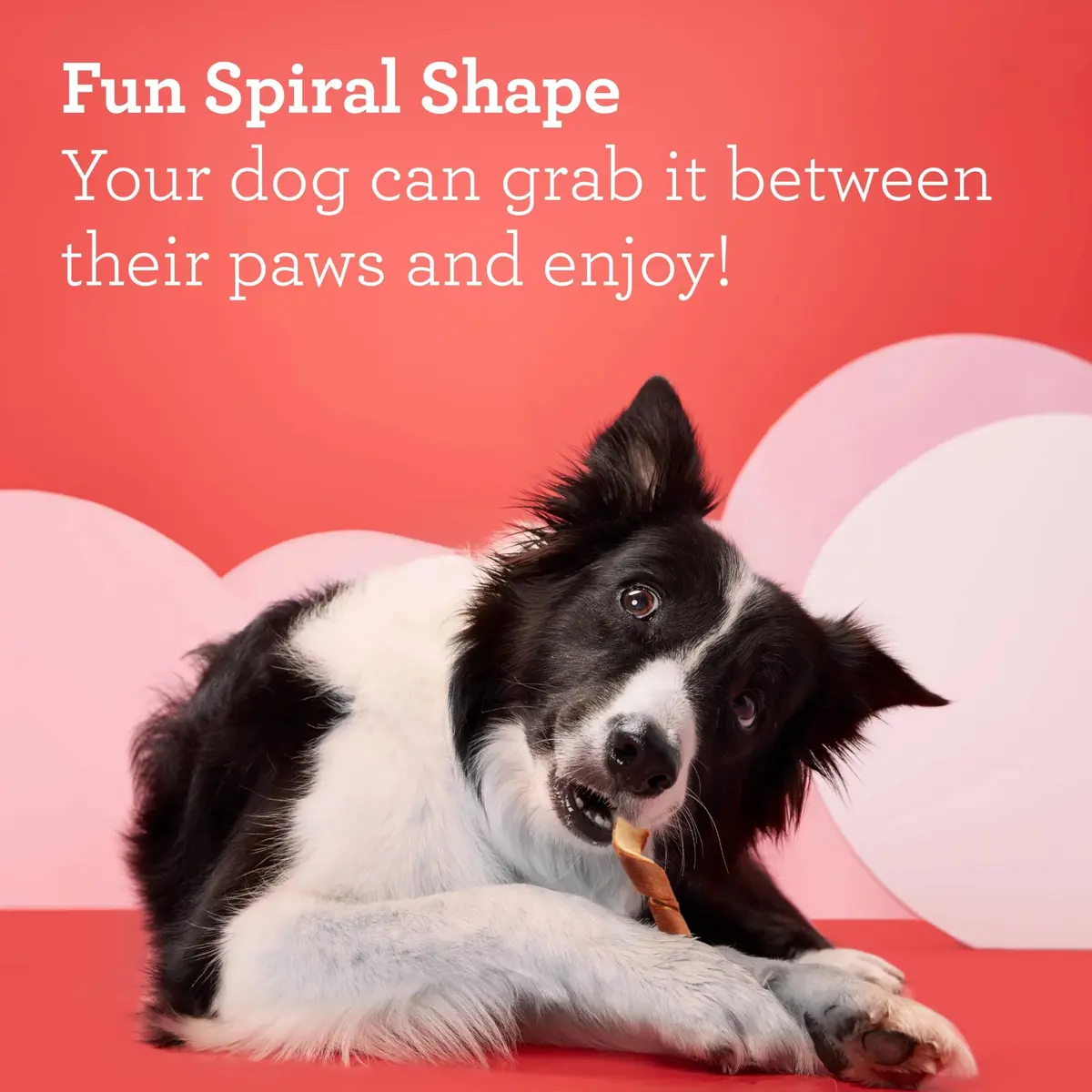 DreamBone Spirals Variety Pack Dog Treats 7.3oz | Rawhide-Free, Supports Skin & Coat - view 3