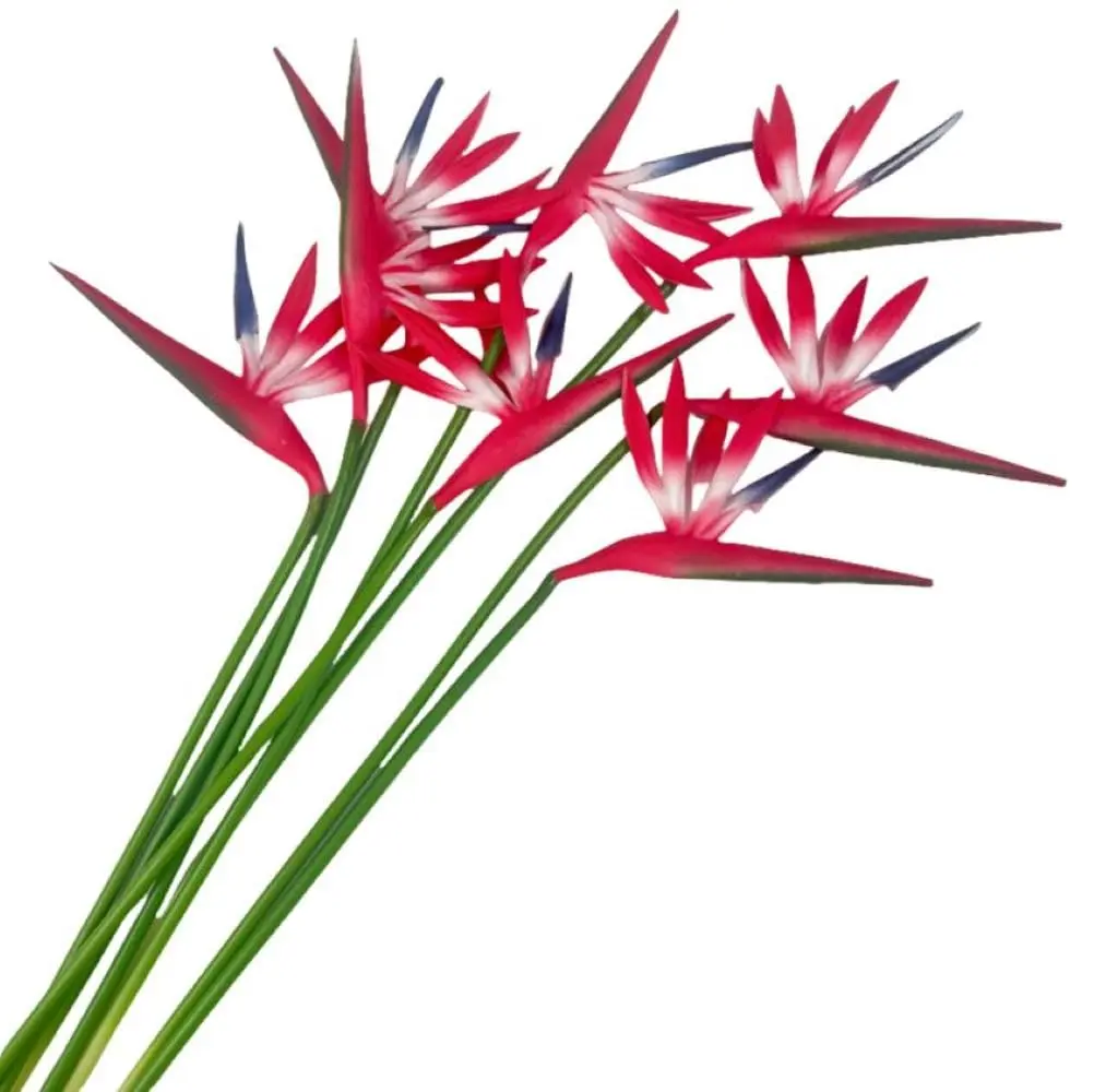 Corkwaw Red Artificial Bird of Paradise Flowers 55cm (21.5 Inch) | Pack of 8 Realistic Tropical Stems - view 6