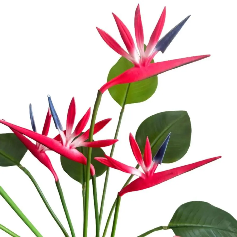 Corkwaw Red Artificial Bird of Paradise Flowers 55cm (21.5 Inch) | Pack of 8 Realistic Tropical Stems - view 2