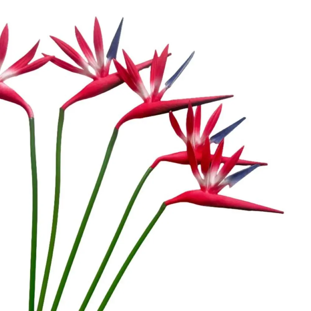 Corkwaw Red Artificial Bird of Paradise Flowers 55cm (21.5 Inch) | Pack of 8 Realistic Tropical Stems - view 3