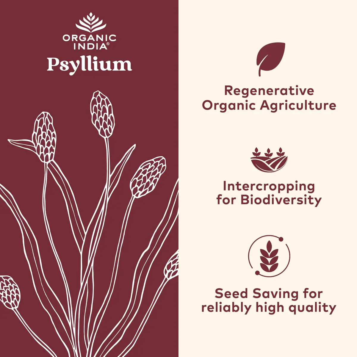 ORGANIC INDIA Psyllium Husk Capsules 180 Count | Vegan Fiber Supplement for Healthy Digestion - view 3