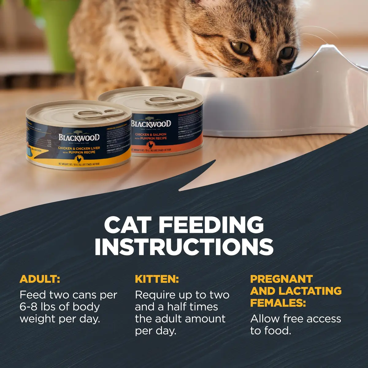 Blackwood Wet Cat Food, Chicken & Pumpkin, 3 oz | Slow-Cooked, Grain-Free Nutrition for Cats - view 5