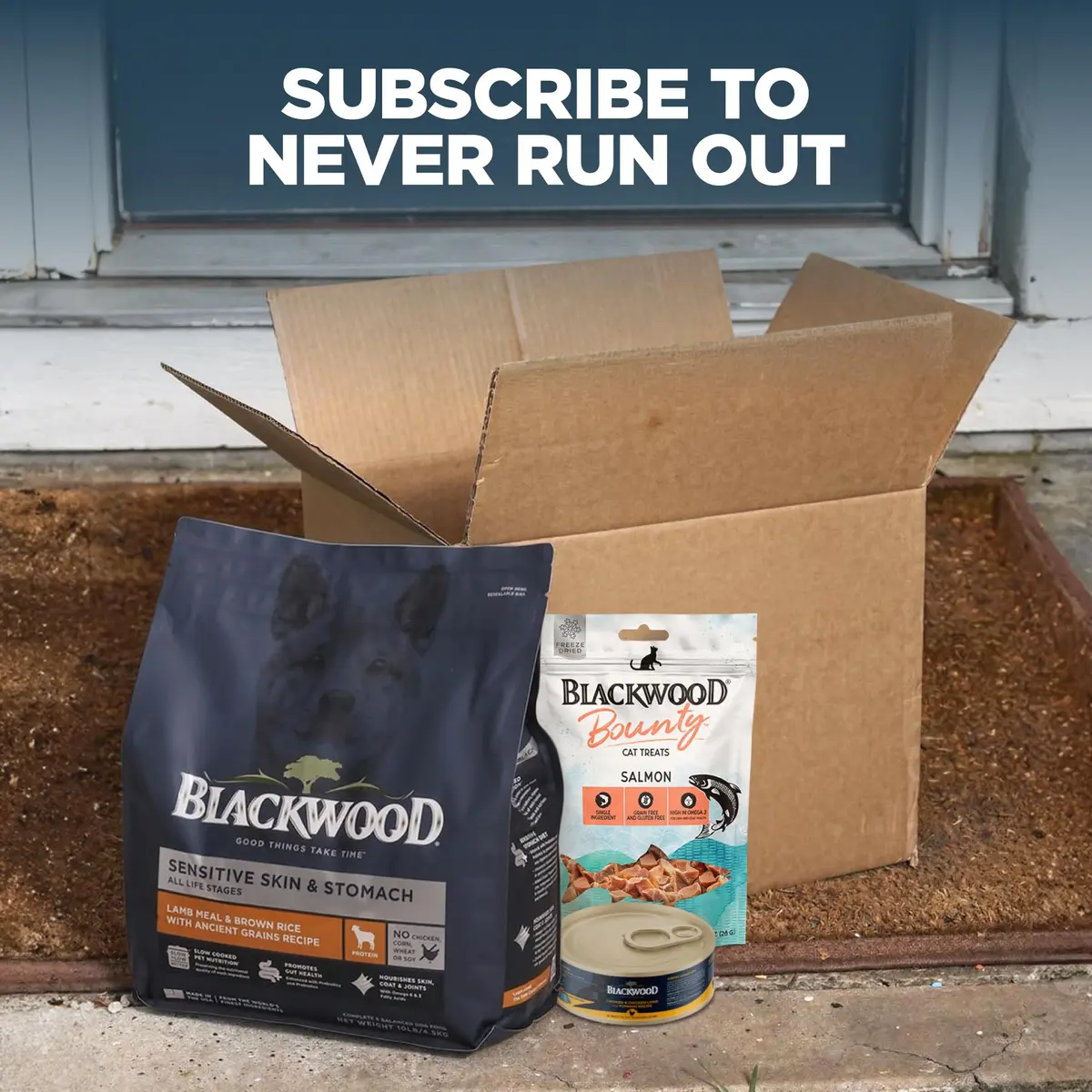 Blackwood Wet Cat Food, Chicken & Pumpkin, 3 oz | Slow-Cooked, Grain-Free Nutrition for Cats - view 6