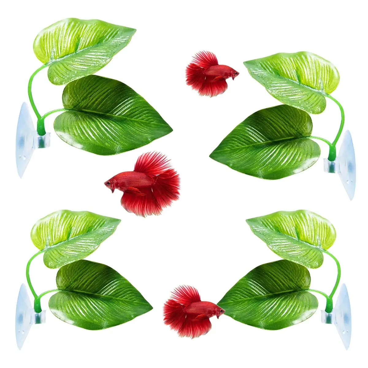 CousDUoBe 4 Pack Betta Fish Leaf Pads | Simulates Natural Habitat for Betta Health - main product image