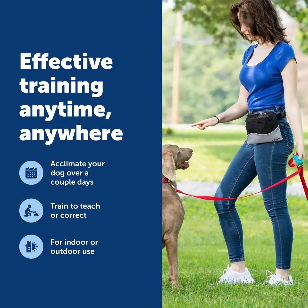 PetSafe Clik-R Dog Training Clicker, Blue | Ergonomic & Comfortable for All Ages - view 5