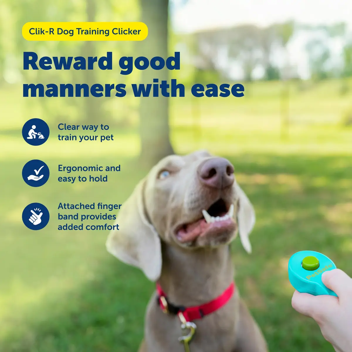 PetSafe Clik-R Dog Training Clicker, Blue | Ergonomic & Comfortable for All Ages - view 2