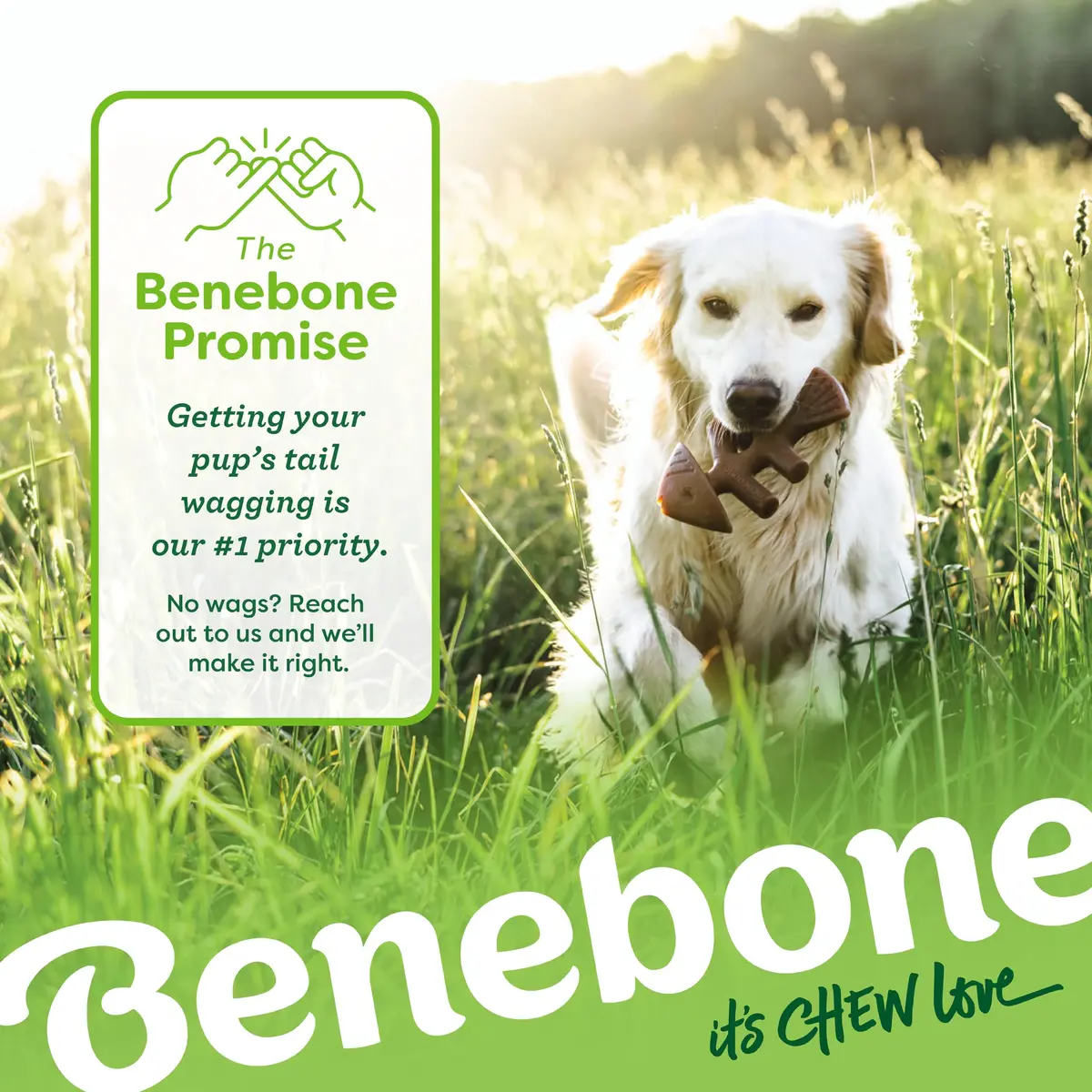 Benebone Medium 4-Pack Dog Chew Toys for Aggressive Chewers Under 60 lbs | Real Bacon Flavor - view 7