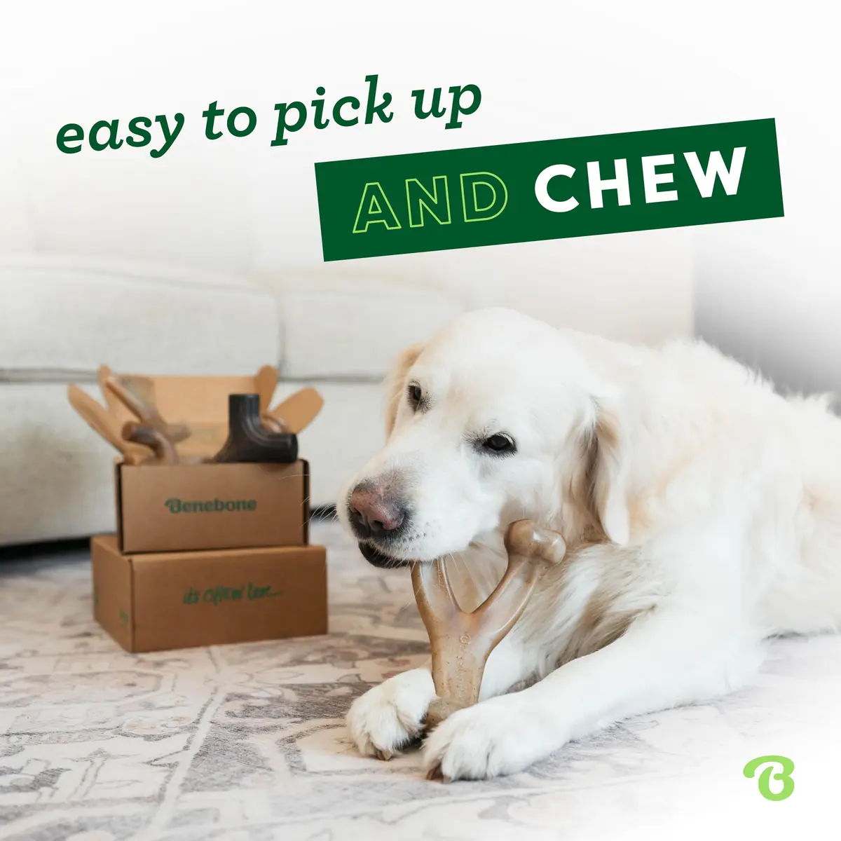 Benebone Large 4-Pack Dog Chew Toys for Aggressive Chewers – 2.8 lbs (1.27 kg) | USA-Sourced Nylon for Dogs Under 90 lbs - view 2