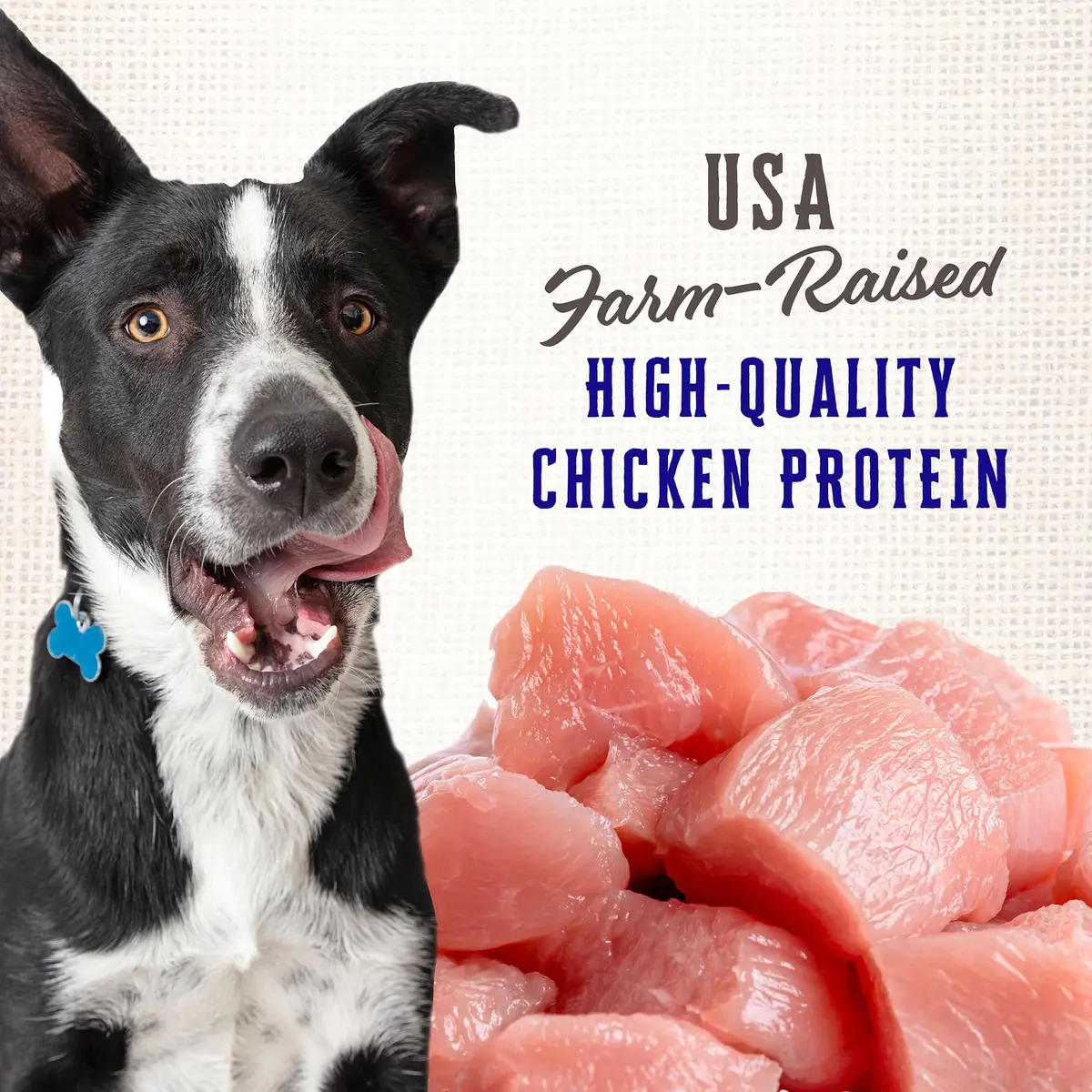 Wholesomes Rewards Puppy Original 20 lb | Protein-Rich Dog Treats with Calcium Support - view 3