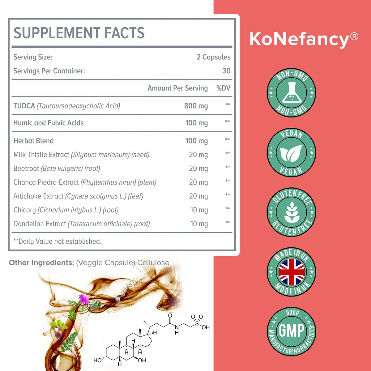KoNefancy TUDCA Bile Salts with Milk Thistle Liver Supplements,60 Capsules | Liver Detox & Support - view 3