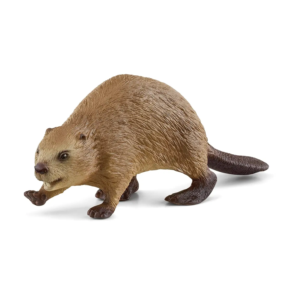 Schleich Beaver Toy Figurine 9.8 cm (3.86 inches) | Authentic Detail & Durable Quality - main product image