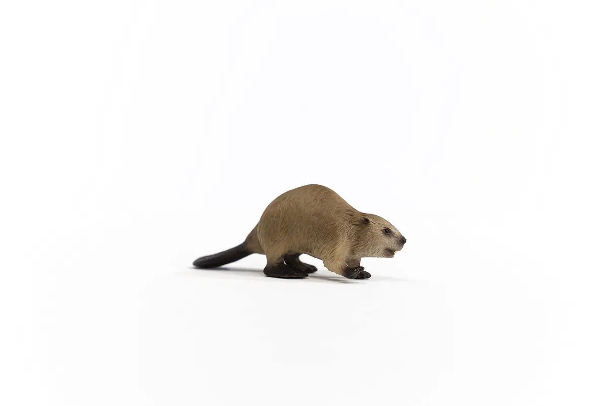 Schleich Beaver Toy Figurine 9.8 cm (3.86 inches) | Authentic Detail & Durable Quality - view 5