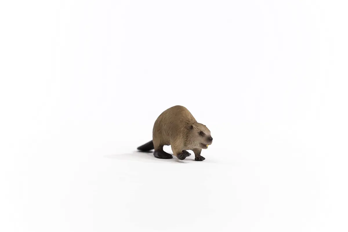 Schleich Beaver Toy Figurine 9.8 cm (3.86 inches) | Authentic Detail & Durable Quality - view 6