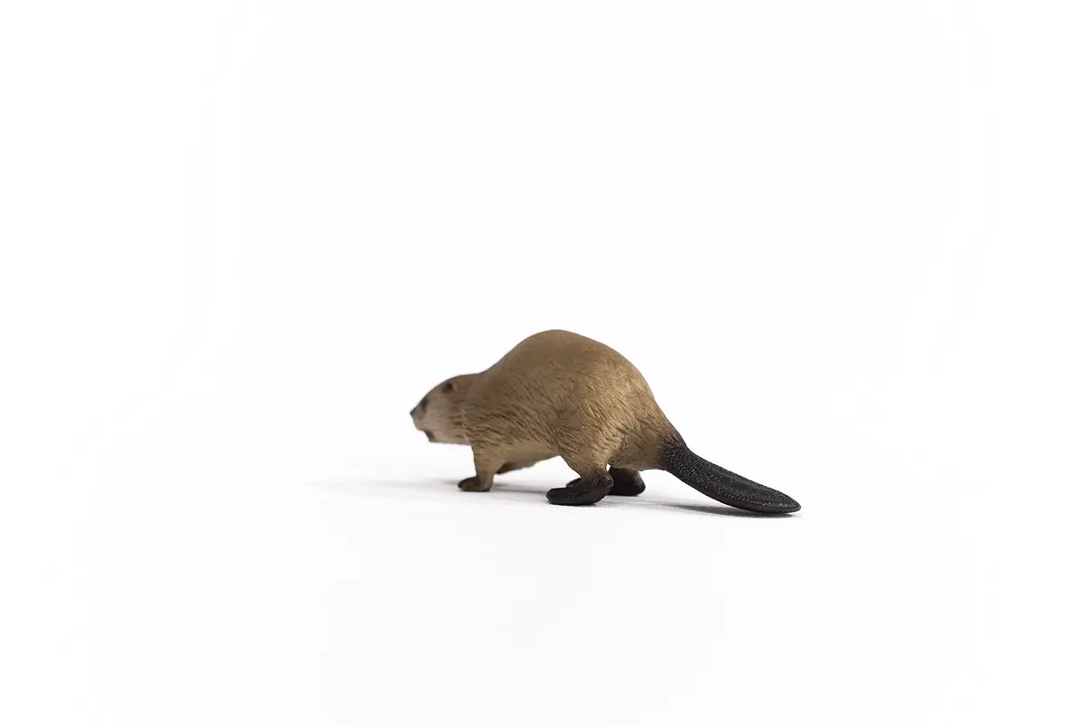Schleich Beaver Toy Figurine 9.8 cm (3.86 inches) | Authentic Detail & Durable Quality - view 3
