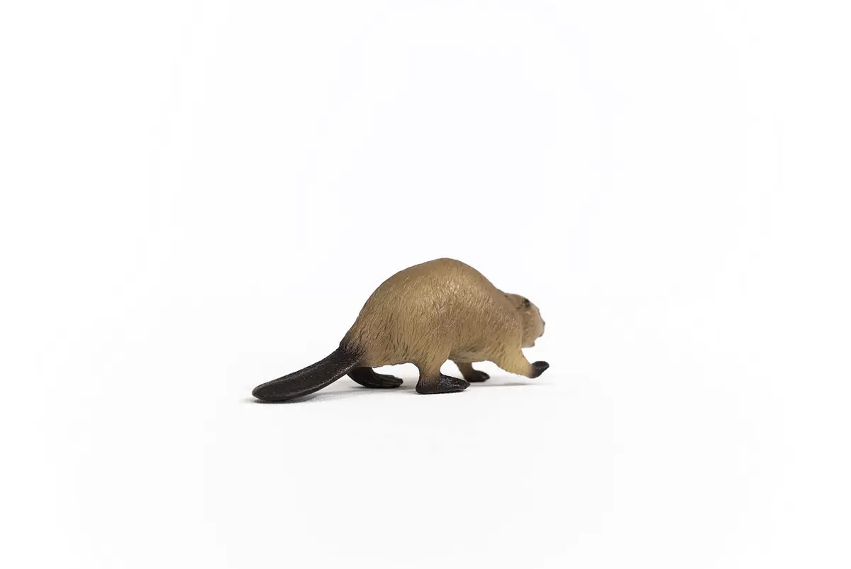 Schleich Beaver Toy Figurine 9.8 cm (3.86 inches) | Authentic Detail & Durable Quality - view 4