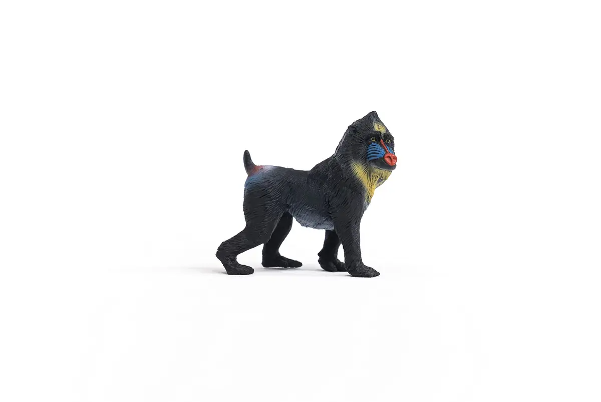 Schleich Mandrill Monkey Figurine 7cm (2.7in) | Realistic Wild Life Toy for Kids Ages 3+ - view 6