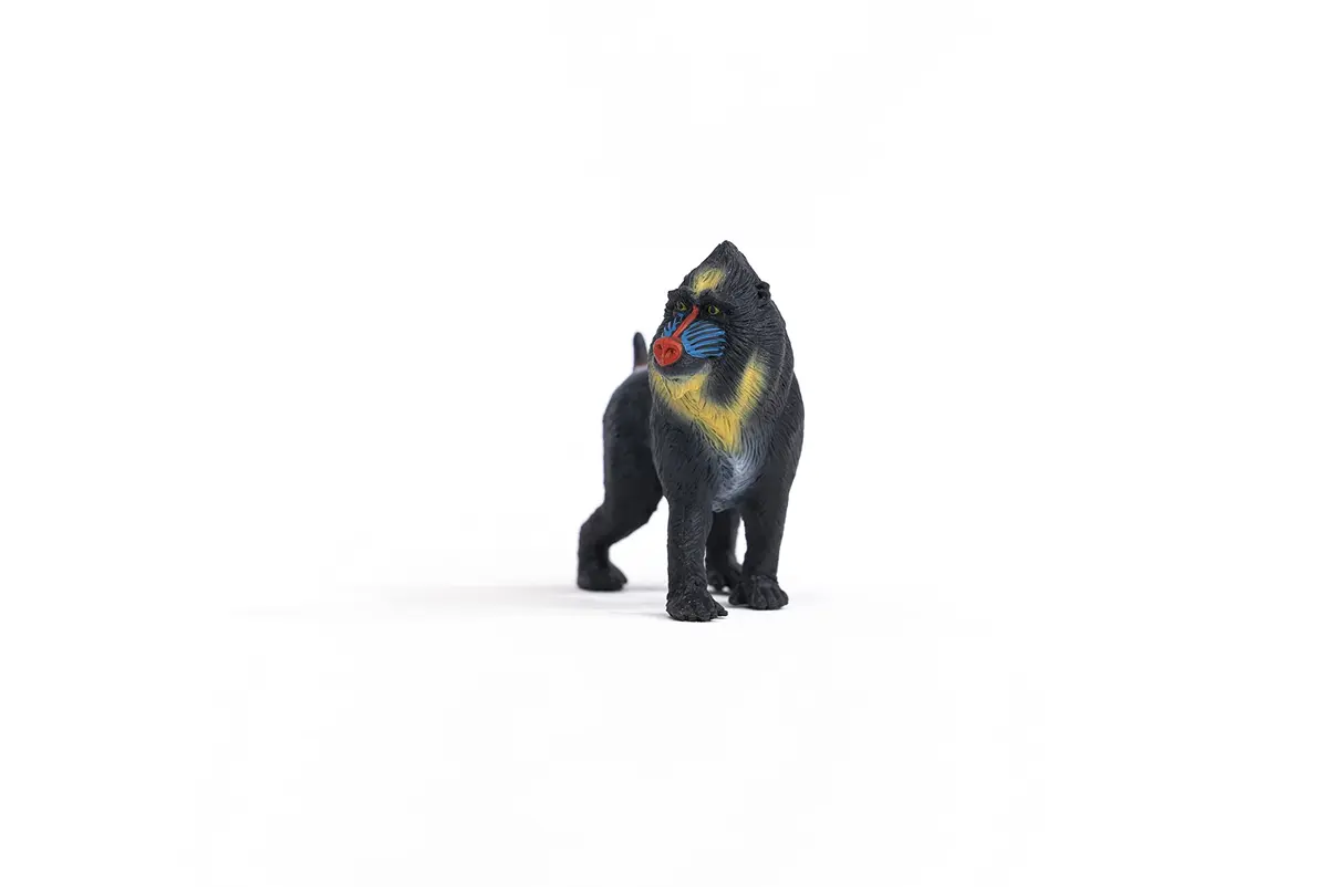 Schleich Mandrill Monkey Figurine 7cm (2.7in) | Realistic Wild Life Toy for Kids Ages 3+ - view 7