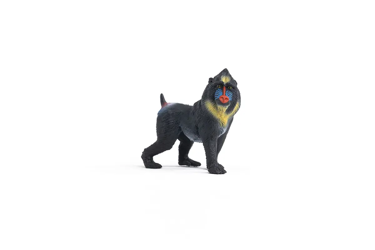 Schleich Mandrill Monkey Figurine 7cm (2.7in) | Realistic Wild Life Toy for Kids Ages 3+ - view 3