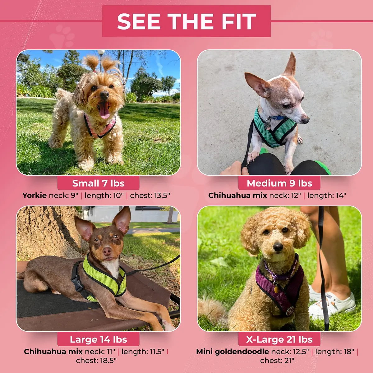 Gooby Comfort X Head-in Dog Harness, Choke-Free, Flamingo Pink, Large (17-22.5" Chest) - view 4