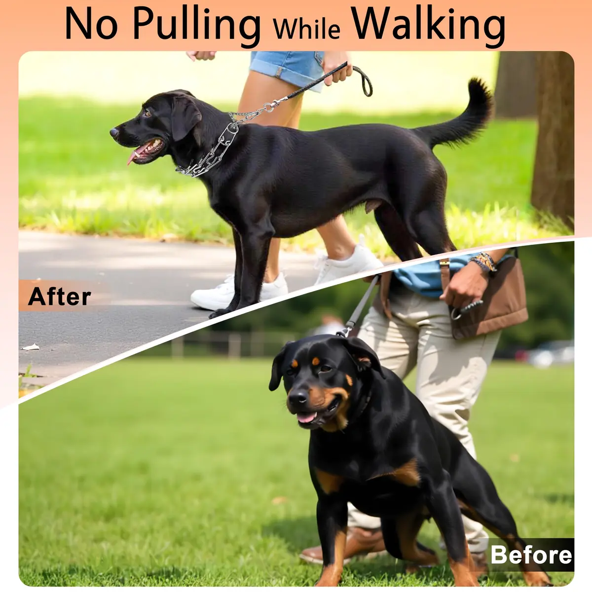 DEYACE Stainless Steel Dog Pinch Collar with Quick Release Buckle & Rubber Tips for Large Dogs, 12"-17" Neck Girth - view 5