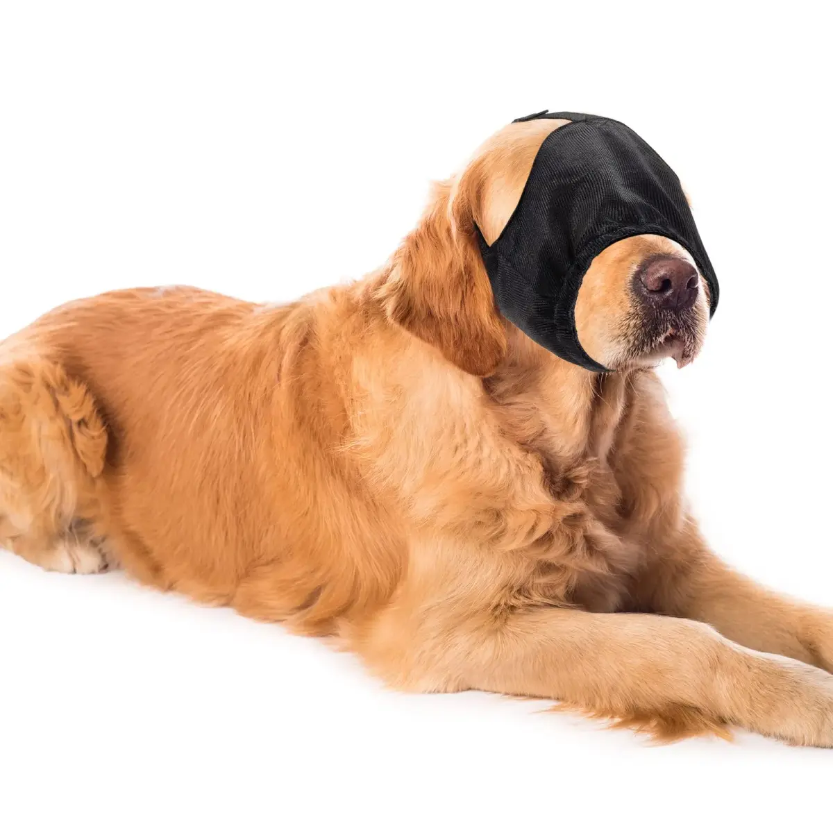 Xuniea Dog Calming Cap Blindfold Shading for Anxiety Relief, X-Large - main product image
