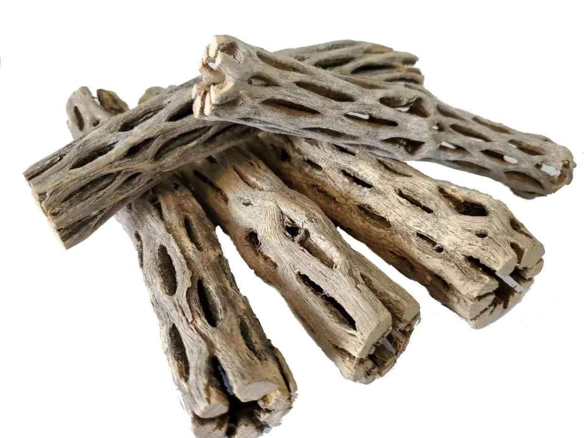 SoShrimp Natural Cholla Wood for Aquarium Decoration 6 Inch (5 Pack) | Creates Realistic Underwater Environments - main product image
