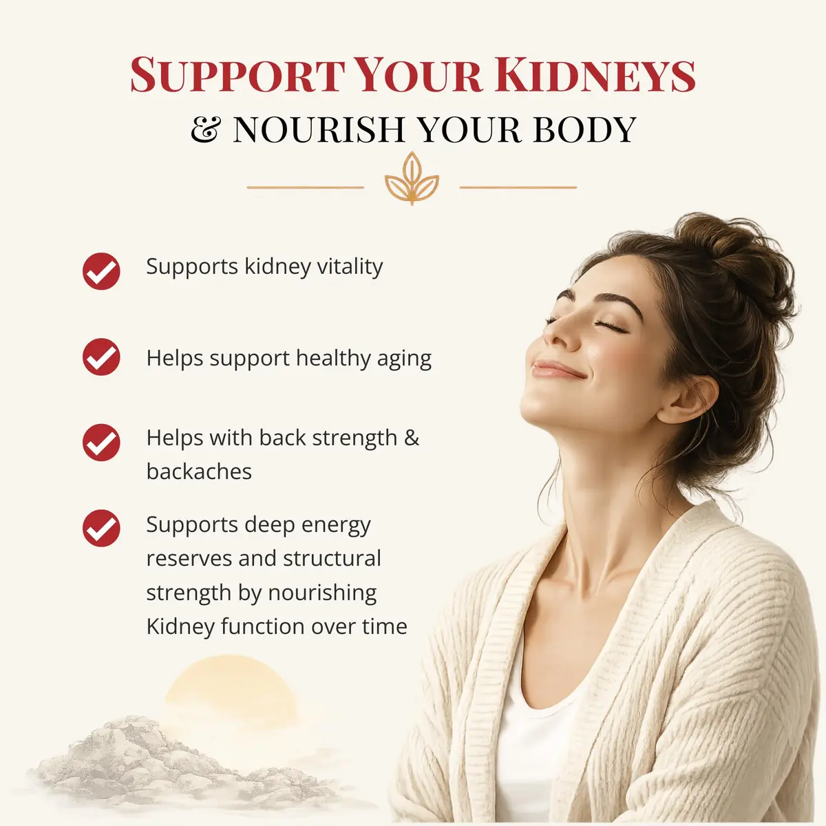 Health Concerns Rehmannia 8 - Kidney Detox & Support | Traditional Chinese Herbal Root Extract (90 Capsules) - view 3