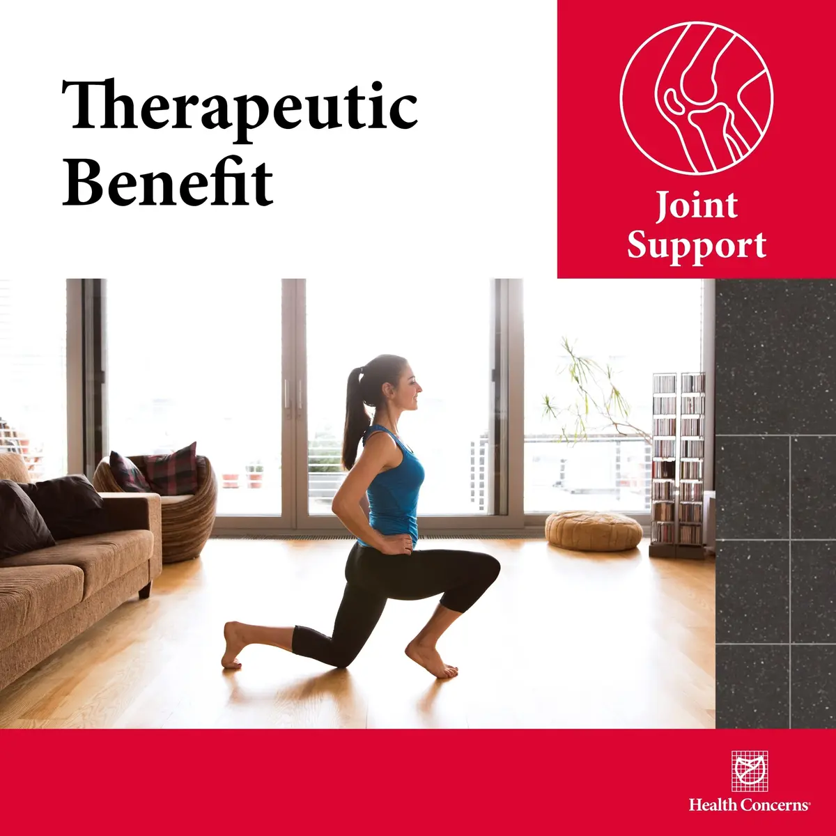 Health Concerns Mobility 2 – Joint Support Supplement for Men & Women – Chinese Herbal Circulation Support – 270 Capsules - view 5