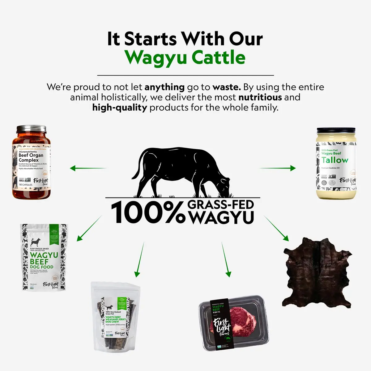 First Light Farms Freeze-Dried Wagyu Beef Dog Food Topper 0.68 kg (1.5 lb) | High Protein Treat for All Breeds - view 6
