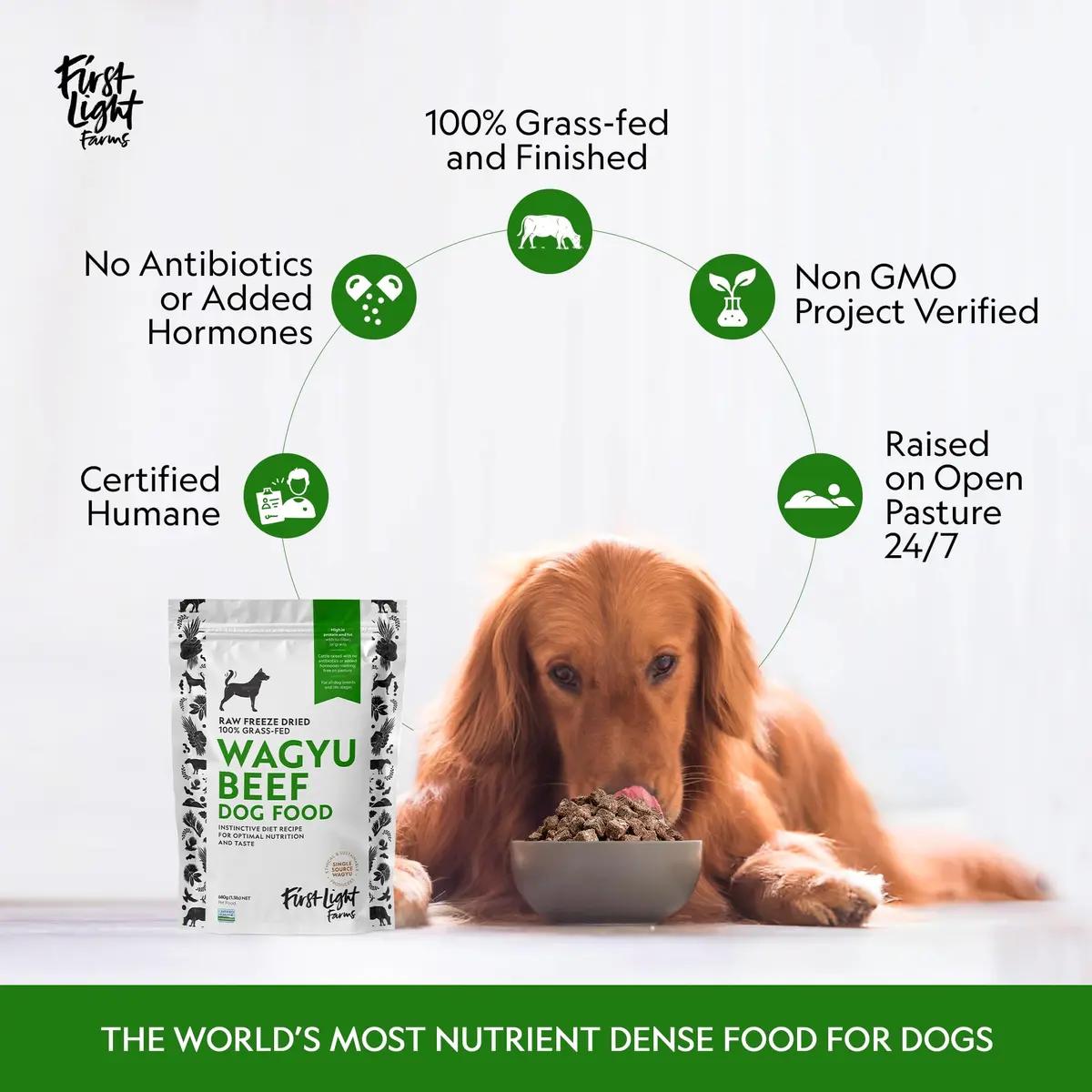 First Light Farms Freeze-Dried Wagyu Beef Dog Food Topper 0.68 kg (1.5 lb) | High Protein Treat for All Breeds - view 7