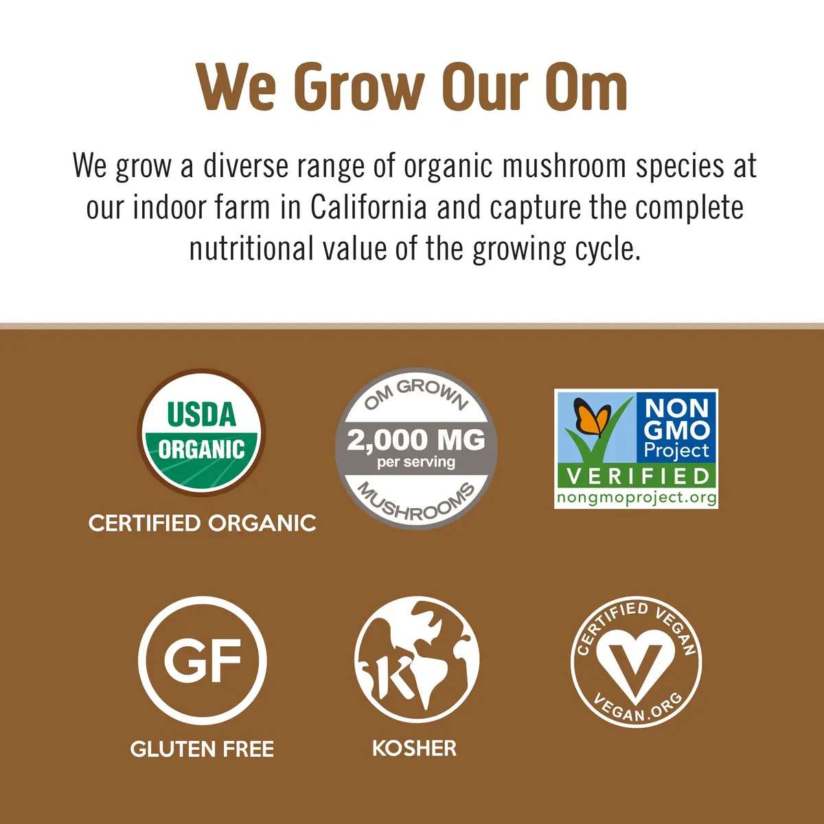 OM MUSHROOM SUPERFOOD Coffee Latte Blend 8.47 oz | Functional Mushroom Powder with Lion’s Mane & Cordyceps for Energy & Focus - view 4