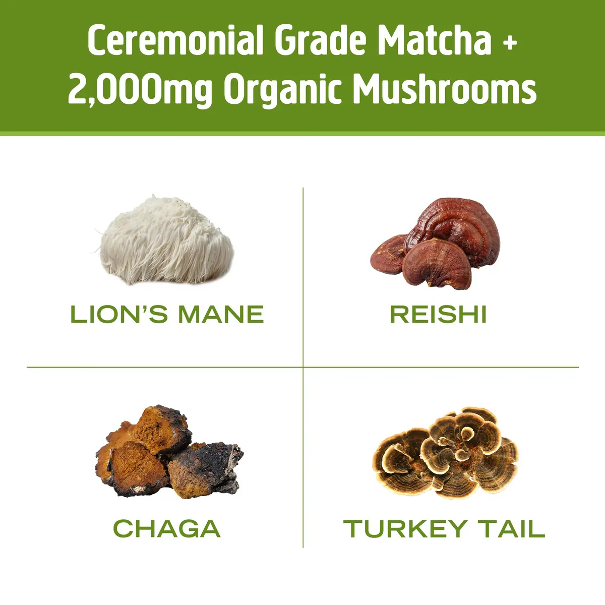 OM MUSHROOM SUPERFOOD Matcha Latte Blend – Green Tea Mushroom Powder with Lion’s Mane, Reishi, Chaga & Turkey Tail – 8.47 oz Canister (30 Servings) - view 7