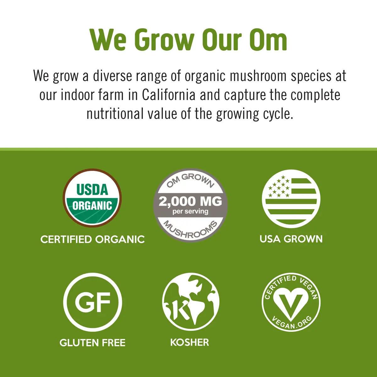 OM MUSHROOM SUPERFOOD Matcha Latte Blend – Green Tea Mushroom Powder with Lion’s Mane, Reishi, Chaga & Turkey Tail – 8.47 oz Canister (30 Servings) - view 4