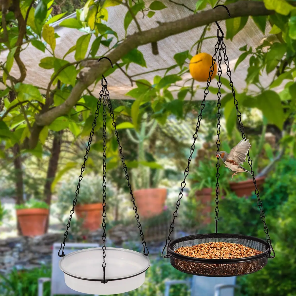 HRAYLTOP 2-in-1 Set Hanging Bird Feeder and Bath for Outdoor, Small Metal Tray | Durable Stainless Steel & Transparent Water Bowl - view 6