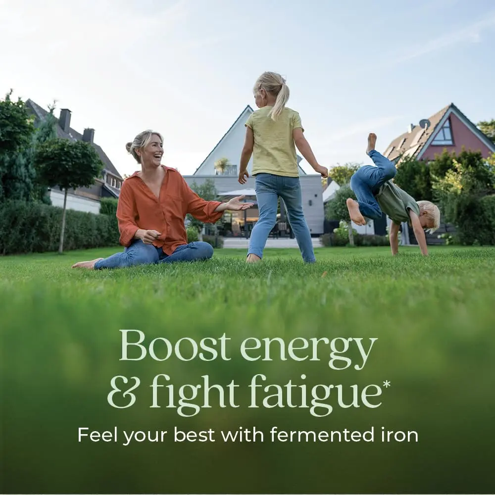 New Chapter Fermented Iron Complex 90 Tablets | Whole-Food Fermented Iron for Blood & Energy - view 2