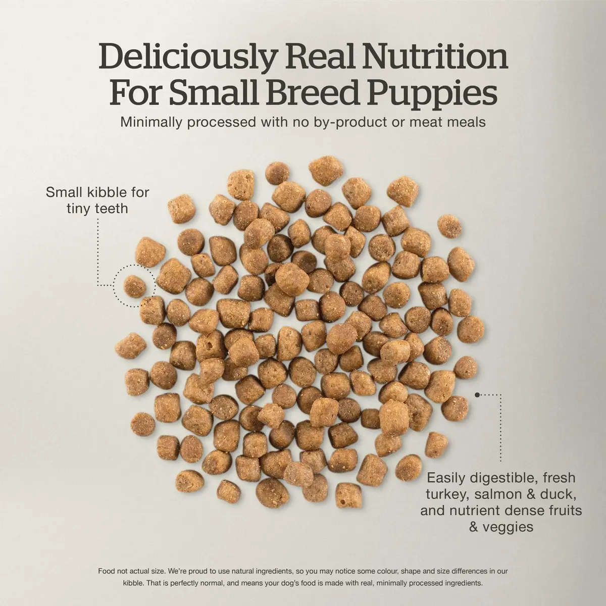 Now Fresh Grain-Free Small Breed Puppy Food with Turkey, Salmon & Duck | Supports Growth & Digestion in India - view 4