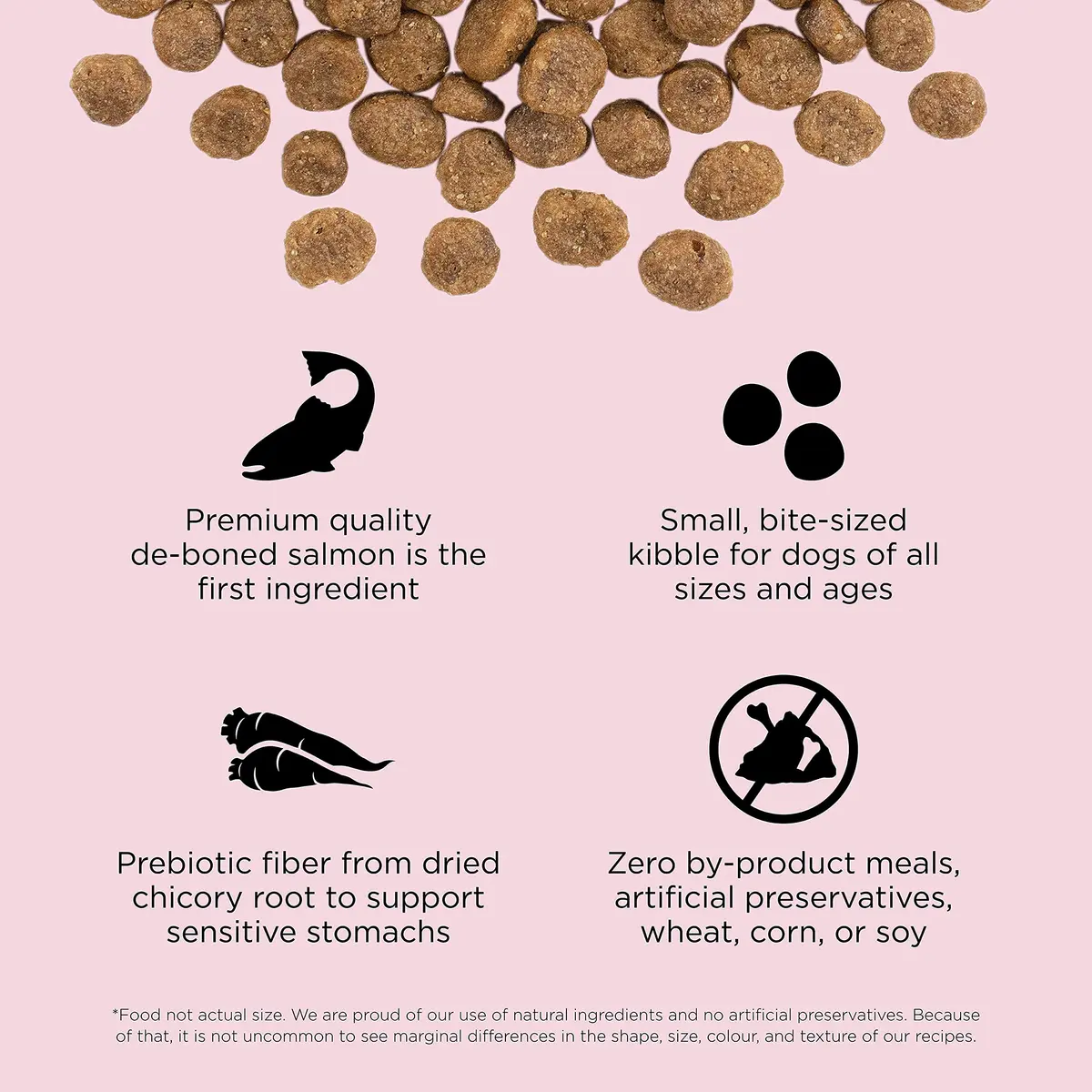 Go! Solutions Sensitivities Small Bites Salmon Grain-Free Dog Food 3.5 lb | Supports Sensitive Stomachs & Skin - view 3