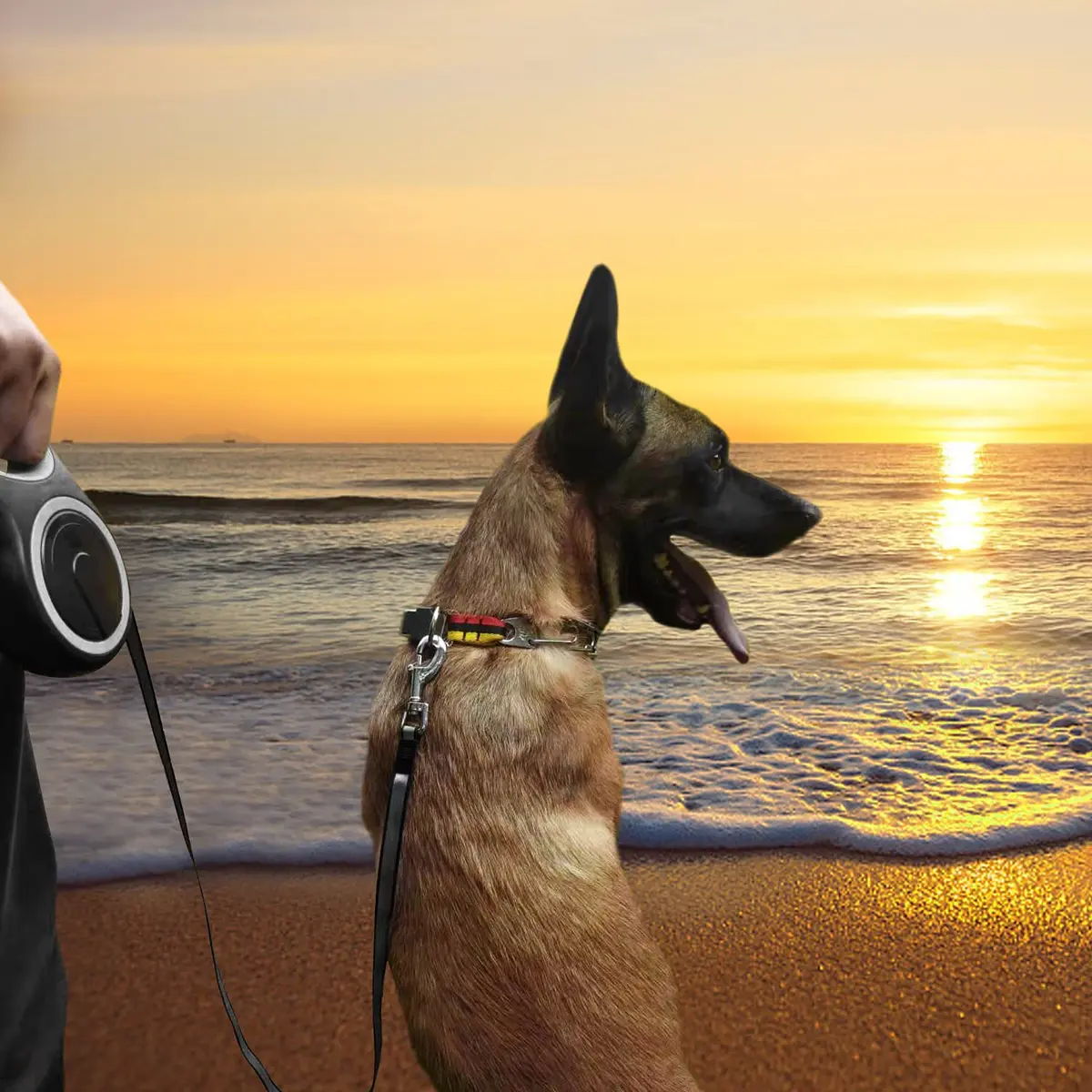 MK-DEF 26Ft Retractable Dog Leash | Heavy Duty Nylon Tape, Anti-Slip Handle, Tangle-Free (Large Size) - view 6