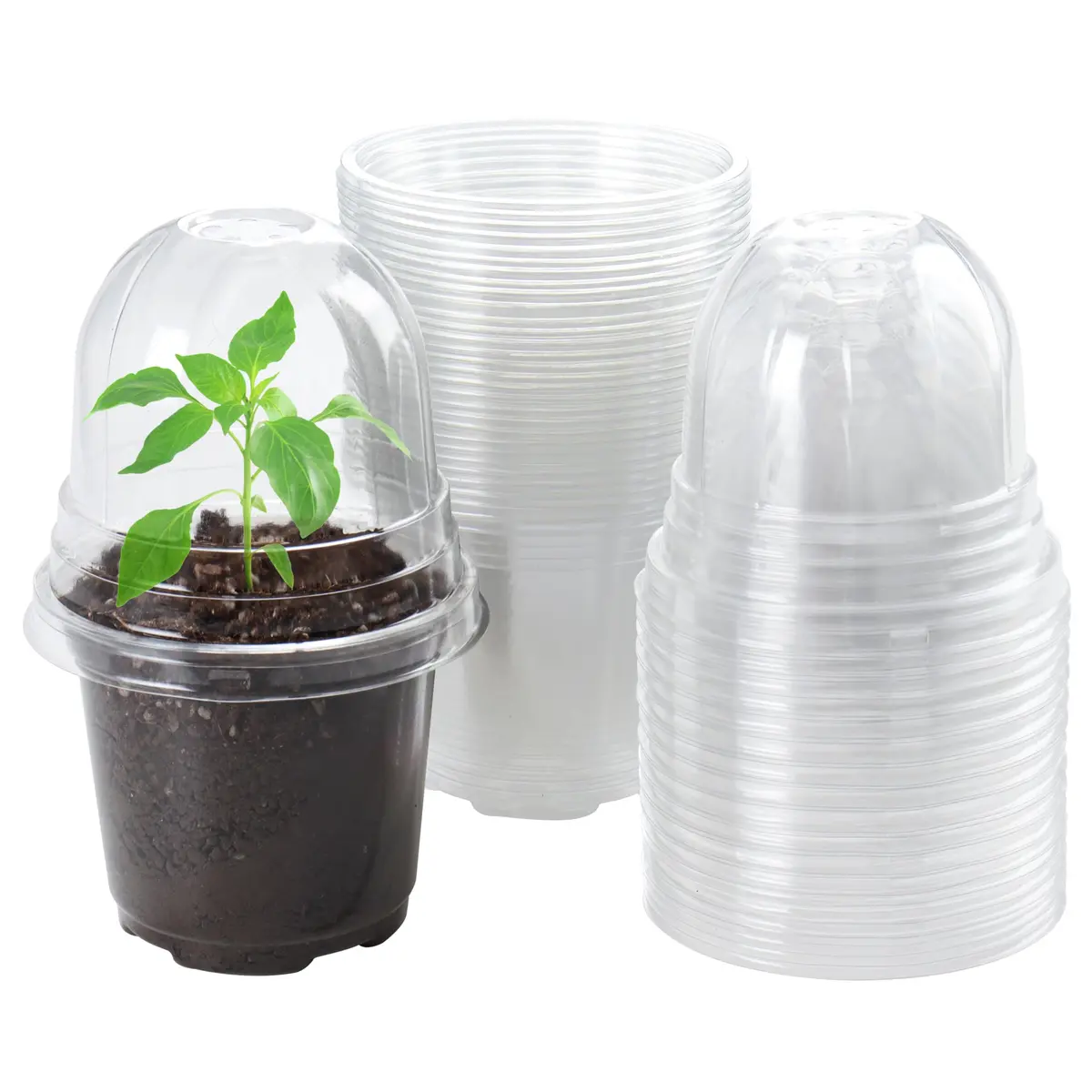 Bluepro Nursery Pots with Humidity Domes, 4 Inch | Clear Plastic for Seed Starting & Propagation - main product image