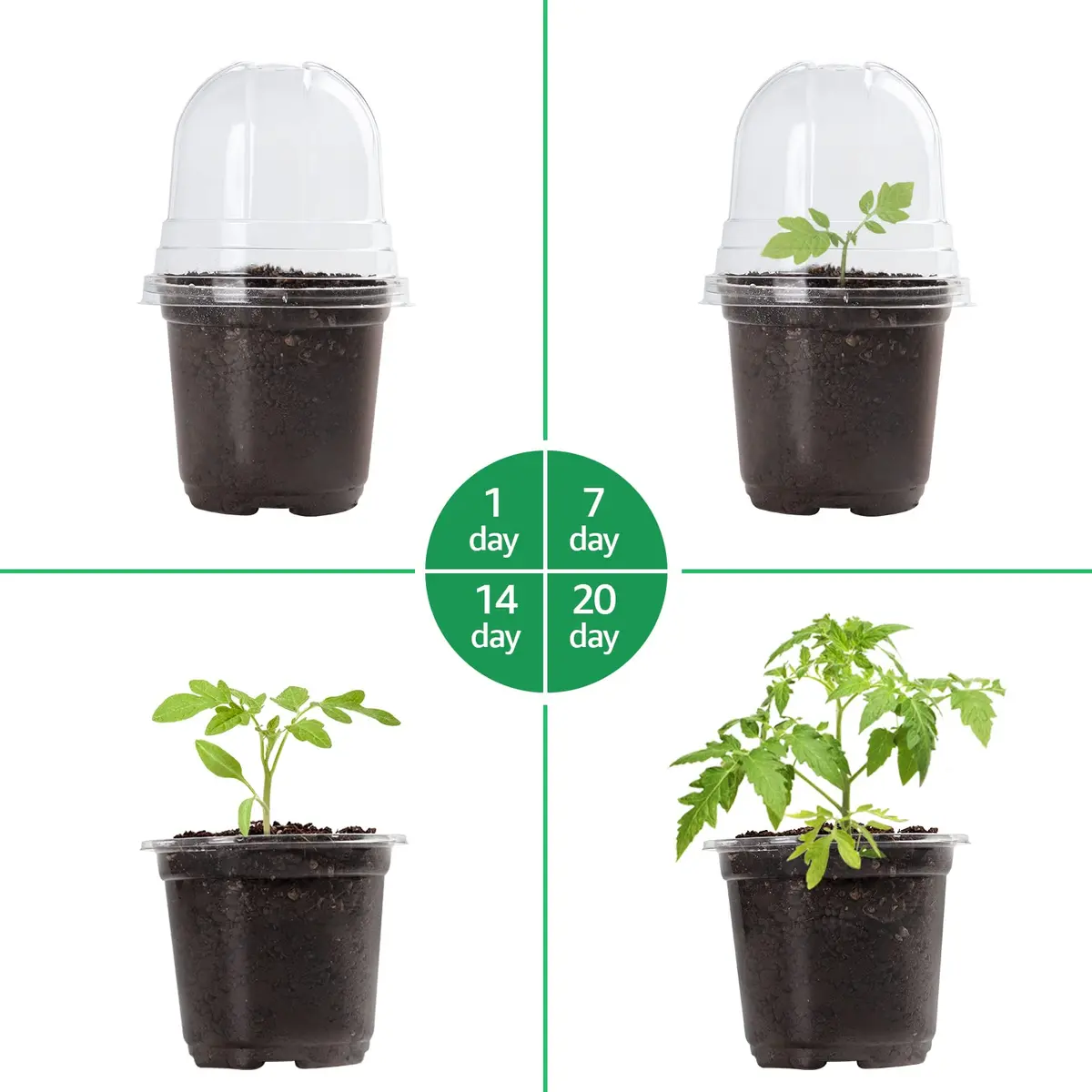 Bluepro Nursery Pots with Humidity Domes, 4 Inch | Clear Plastic for Seed Starting & Propagation - view 5