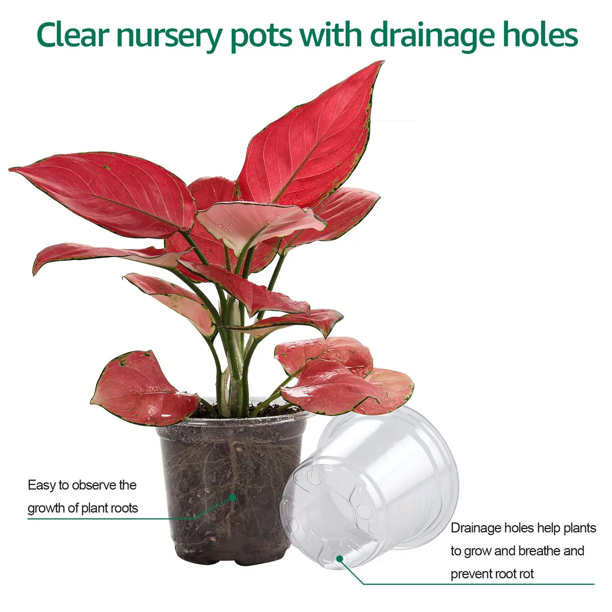 Bluepro Nursery Pots with Humidity Domes, 4 Inch | Clear Plastic for Seed Starting & Propagation - view 6