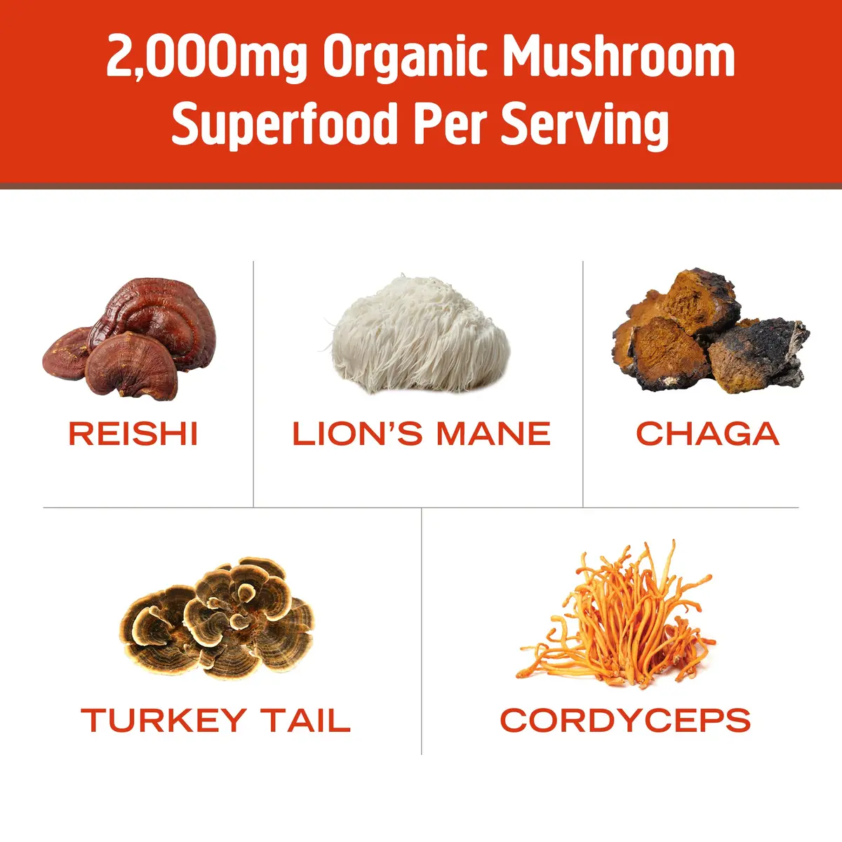 OM MUSHROOM SUPERFOOD Morning Energy Blend – Mushroom Drink Mix with Cordyceps, Lion’s Mane, Rhodiola & Vitamin D2 | Natural Energy & Focus - view 4