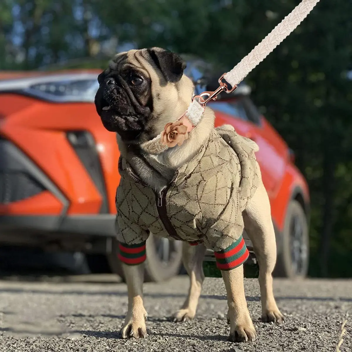 HQREA Dog Hoodie Luxury Winter Small Dog Jacket Clothes Classic Designer French Bulldog Teddy Pug XXL | Fashionable & Warm - view 3