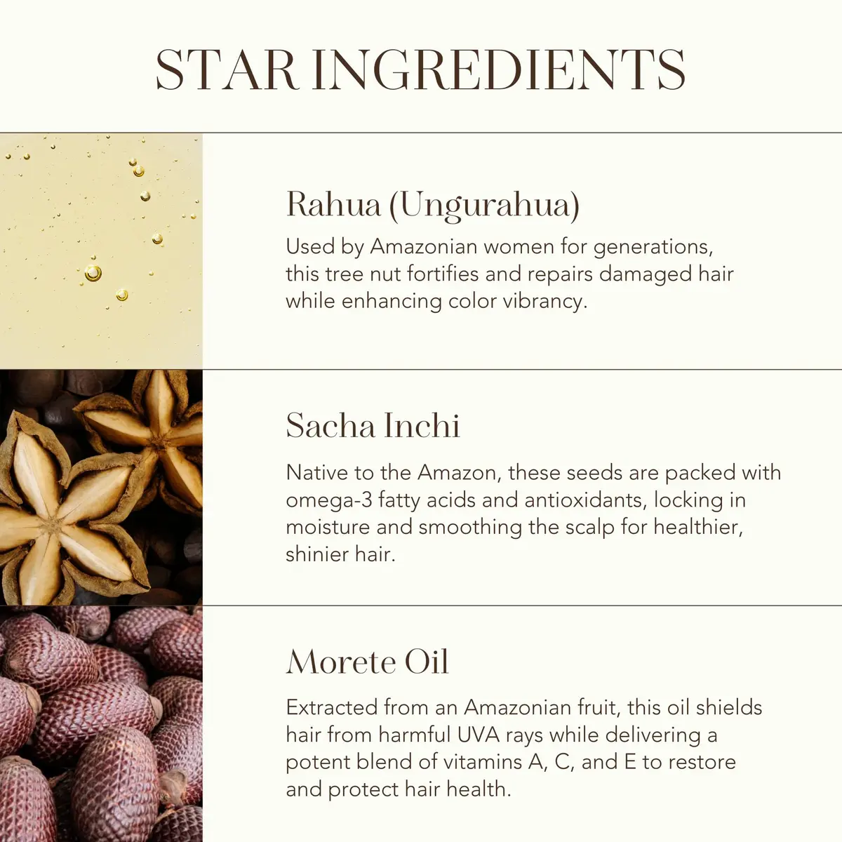 Rahua Scalp Exfoliating Shampoo 9.3 fl oz | Gentle, Organic, Amazon Rainforest Formula - view 4