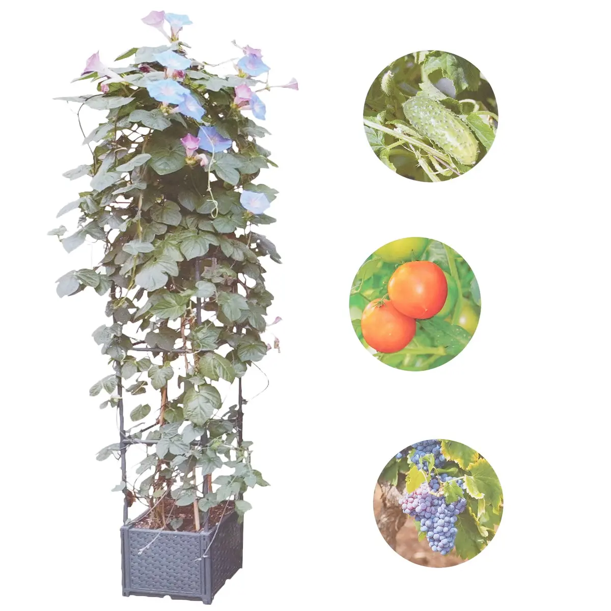 GREEN MOUNT Raised Garden Bed Planter with Trellis 41.3"H | Supports Heavy Climbing Plants - view 2