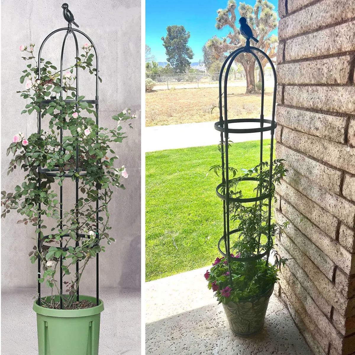 CJGQ Garden Trellis for Climbing Plants 6ft | Rustproof Metal Support Structure - view 6