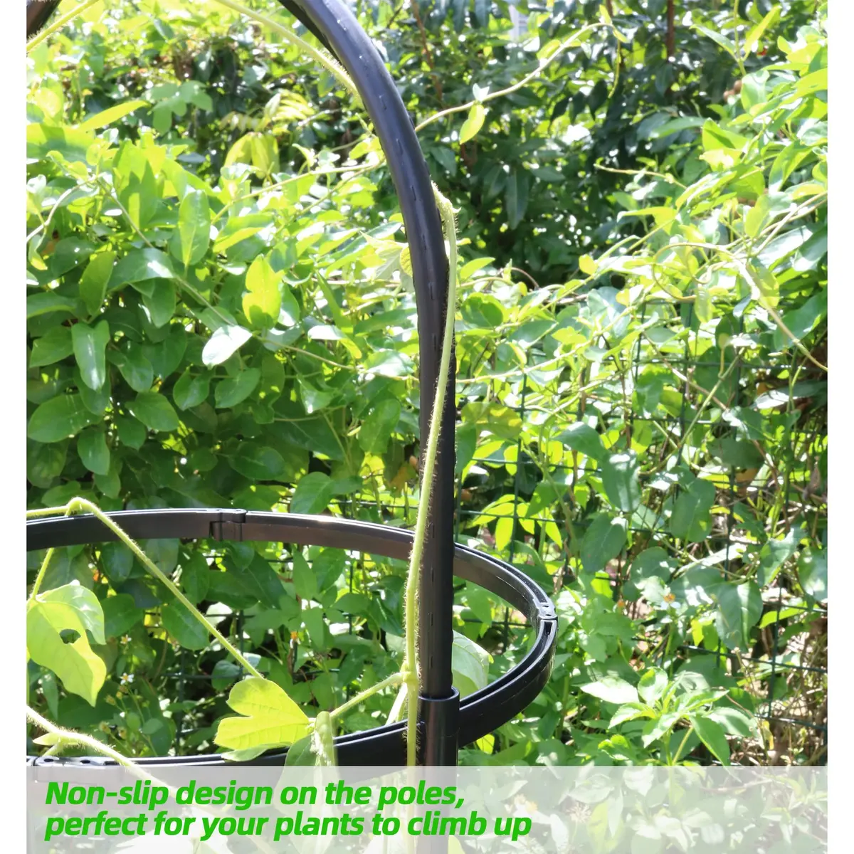 CJGQ Garden Trellis for Climbing Plants 6ft | Rustproof Metal Support Structure - view 2