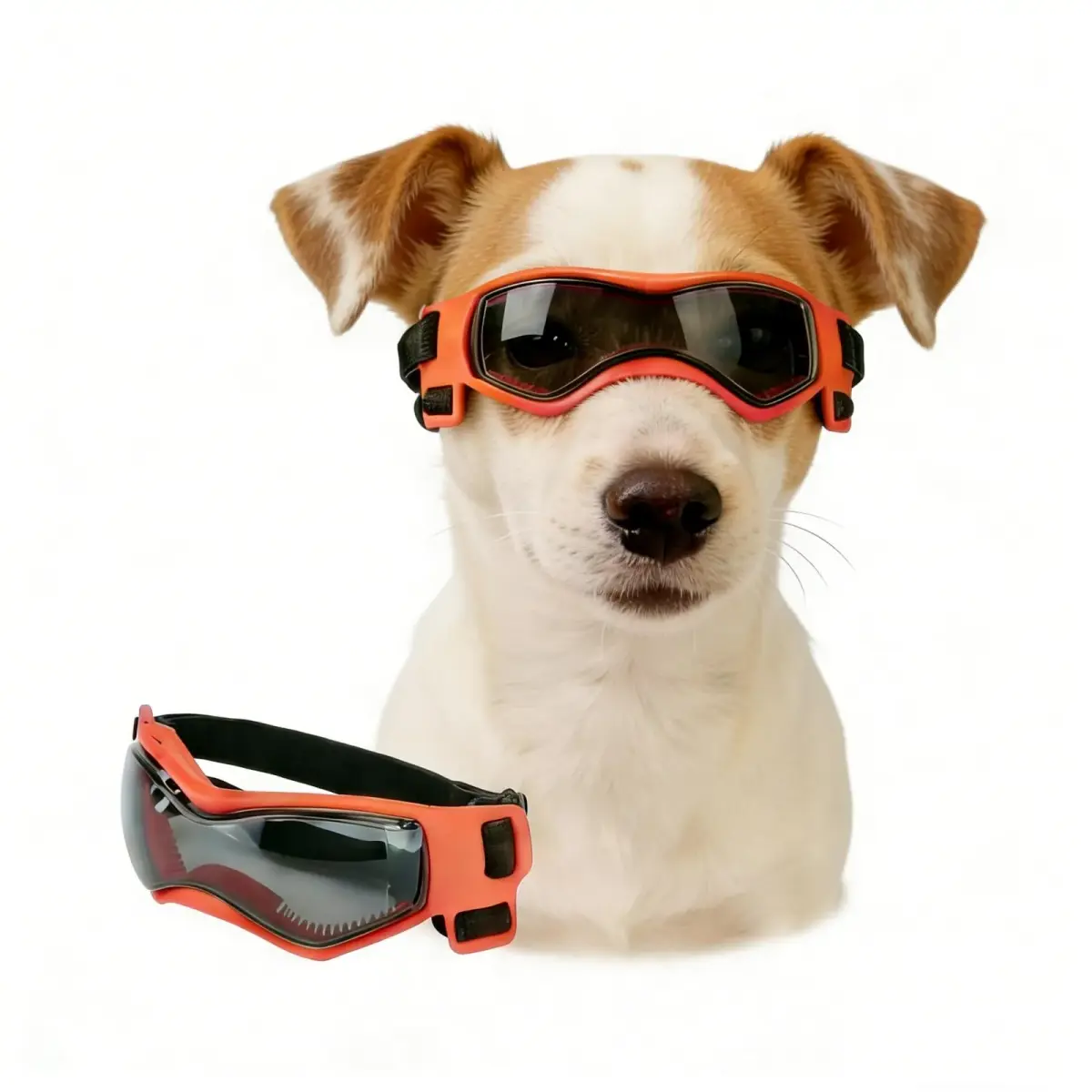 Enjoying Stylish Orange Dog Goggles for Medium Breeds with UV Protection & Windproof Design - main product image