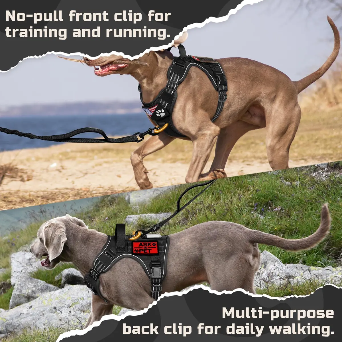 rabbitgoo Tactical Dog Harness for X-Large | No Pull Military Service Vest with MOLLE & Reflective Strips - view 4