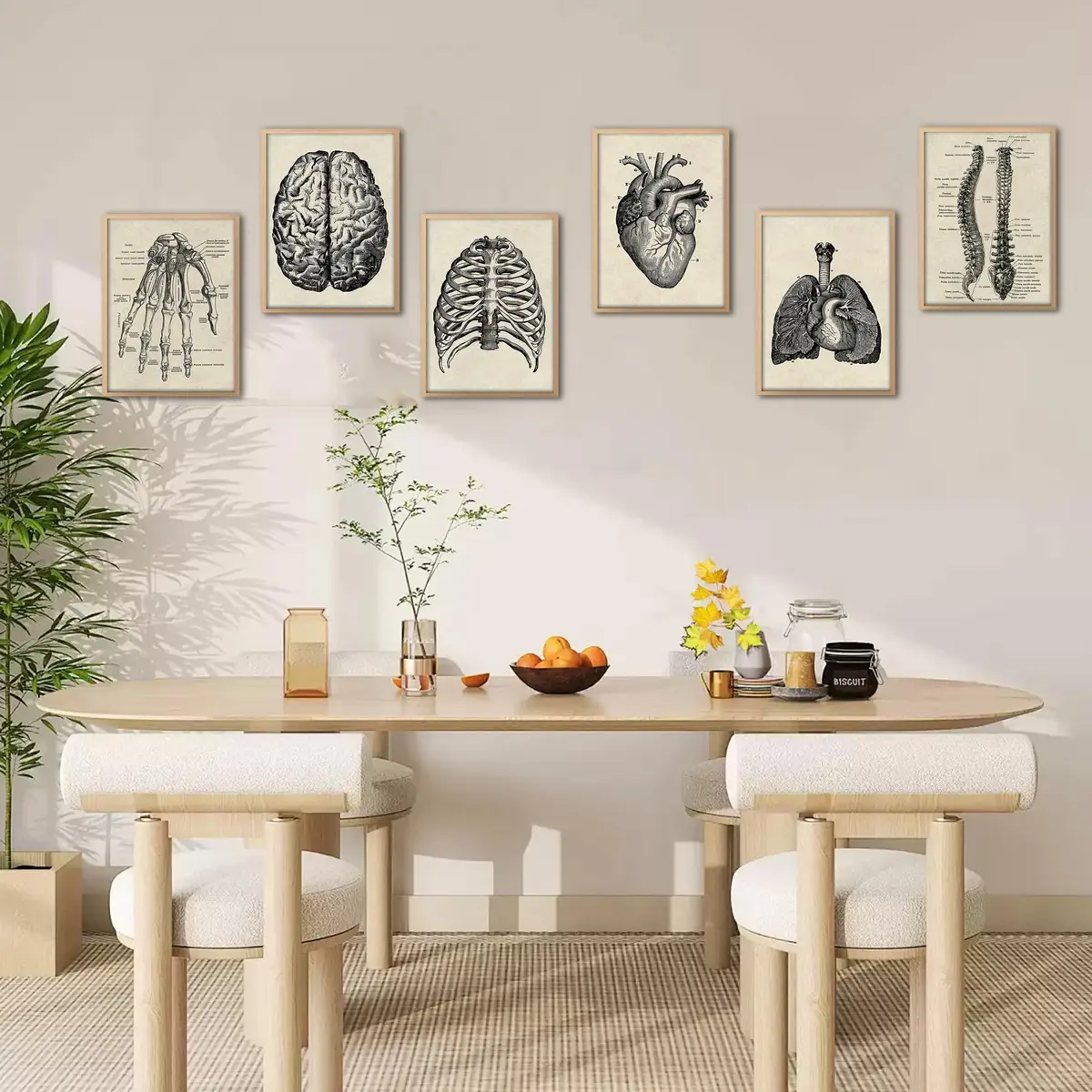 Ohhvvow Human Anatomy Wall Art Set of 6 Canvas Prints 8"x10" | Medical Skeleton Decor for Study & Office - view 9